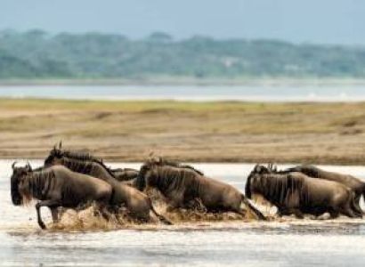 6 Day Serengeti Migration Safari Tour