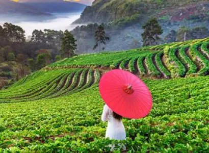 Heavens Of The East 8N - 9D Tour