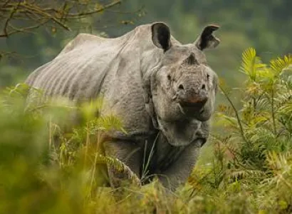 Enchanting North East 6N - 7D Tour