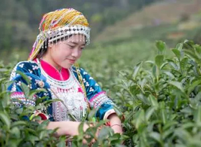 We Love Tbilisi 4N - 5D Tour