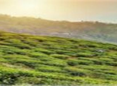 Trip To Darjeeling 3 Night 4 Days