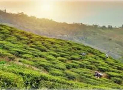 Trip To Sikkim - Darjeeling 6Night - 7Day