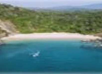 North Goa Tour Packages