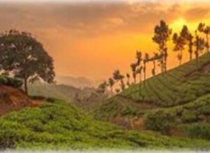Thekkady Tour Packages