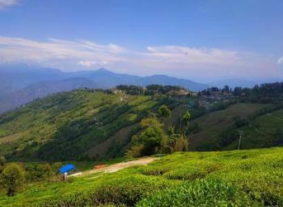 4 Days Darjeeling Tour - Queen Of Hills
