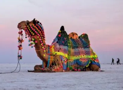 Infinity Gujarat Wild Heritage Trail