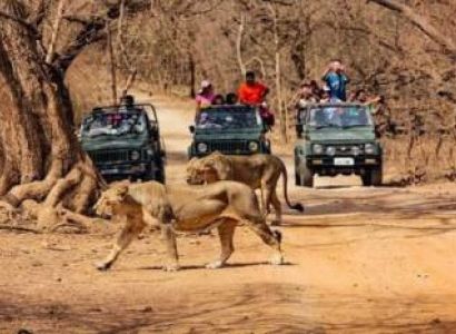 Gir Somnath Tour Packages