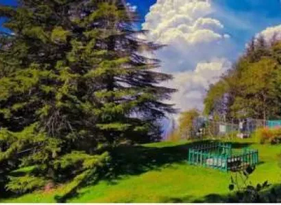 Dalhousie - Khajjiar Tour Package From Delhi - 2Night 3Days