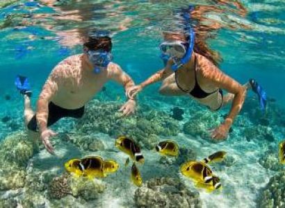 Full Day Snorkeling Tour In Safari Blue