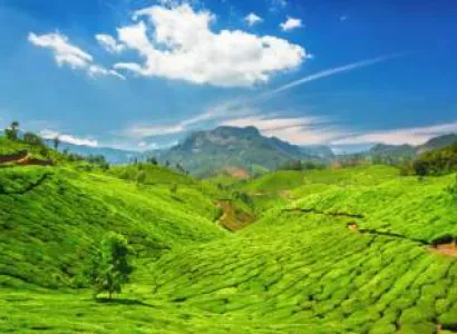 Cochin - Munnar Tour Package 2 Night - 3 Days