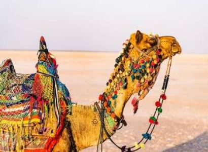 Gujarat Package 6N - 7D