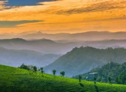 Kerala Package for 6 Nights 7 Days