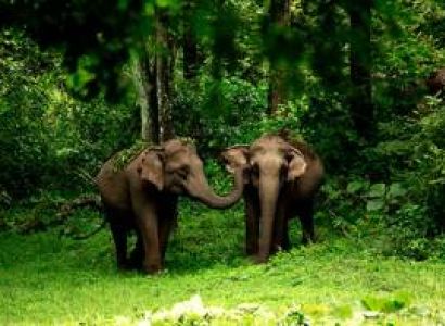 Kerala Package for 6 Nights 7 Days