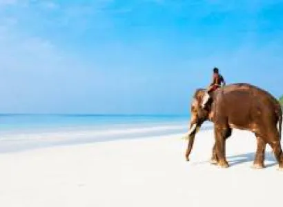 Andaman Package 4N - 5D