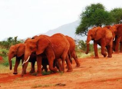 South Africa In A Week - City - Coast - Safari Adventure 6 Nights 7 Days Tour