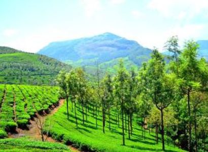 4 Night Kerala Tour Package Ex - Cochin