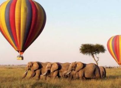 1 Day Serengeti - Hot Air Balloon Tour