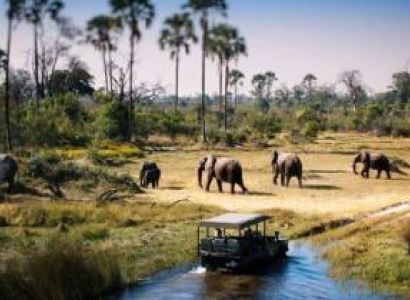Tanzania - Northern Explorer 7N 8D Tour
