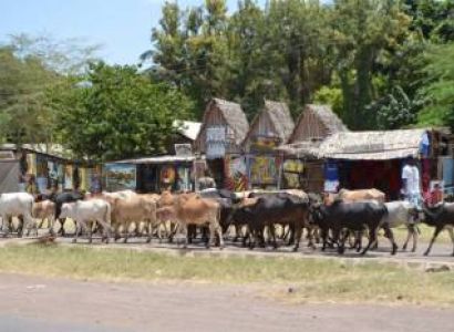 One Day Tanzania - Village Walk Tour