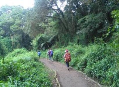 1 Day Tanzania - Forest Hike Tour