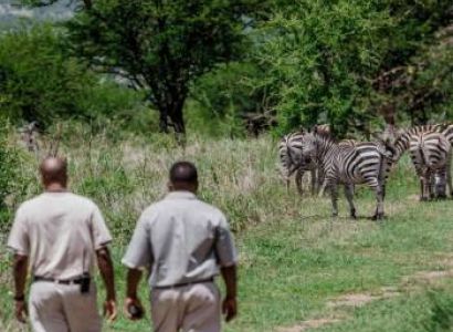 One Day Tanzania - Nature Walk Tour