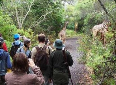1 Day Tanzania - Short Nature Walk Tour