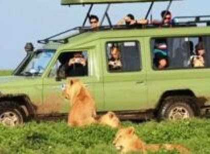 Ngorongoro Tour Packages