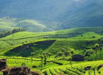 Pidmc Kerala Tour Package 4 N 5 D