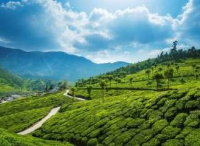 Pidmc Kerala Tour Package 4 N 5 D