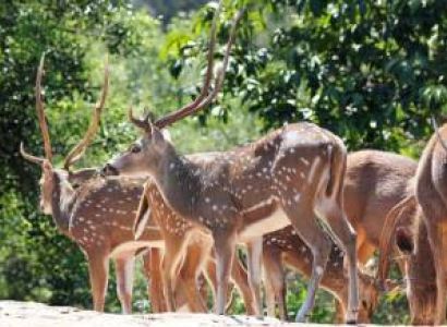 10 Nights 11 Days In Kasauli - Shimla - Dharamshala - Dalhousie - Manali Tour