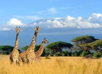 6N Kenya - Glimpse Of Mt - Kilimanjaro