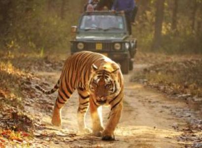 4 Days Corbett Nainital Tour Package