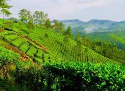 3N Kerala Tour - 3 Star