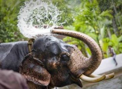 7N Exotic Kerala Tour