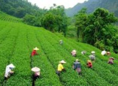 2N Awesome Munnar Tour