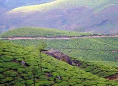 4N Kerala Tour - 3 Star Hotel