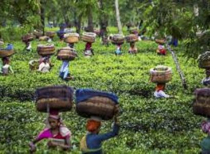 5N Kerala Visit Tour