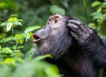 Fort Portal Tour Packages