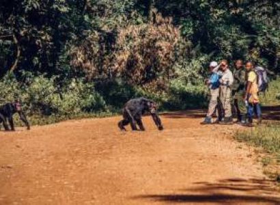 Fort Portal Tour Packages