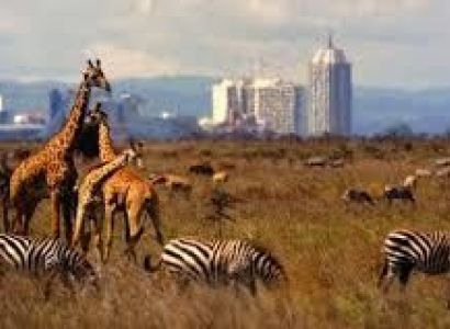 Nairobi City - Wildlife Tour