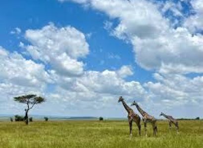 2-Day Maasai Mara Safari Itinerary From Nairobi