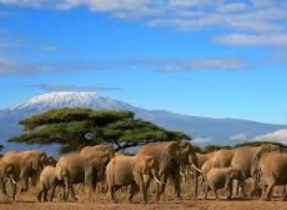 3 Days The Kilimanjaro Backdrop - Amboseli National Park Tour