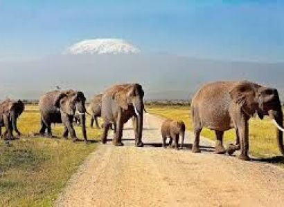 Tsavo East - Tsavo West - Amboseli Tour