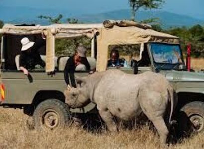 Nairobi - Naivasha - Mara Safari And Lake Life Tour
