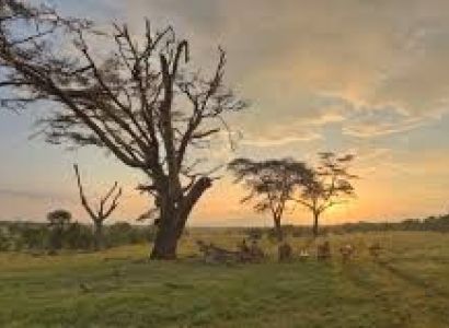Laikipia Conservancy - Ol Pejeta - Conservation Focused Tour