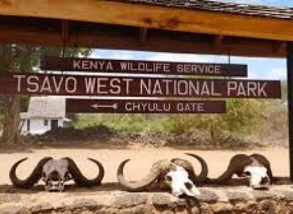 Amboseli National Park - Tsavo West - The Great Southern Circuit Tour