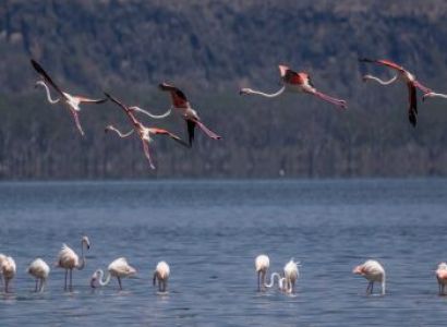 5 Days Kenya Safari Tour