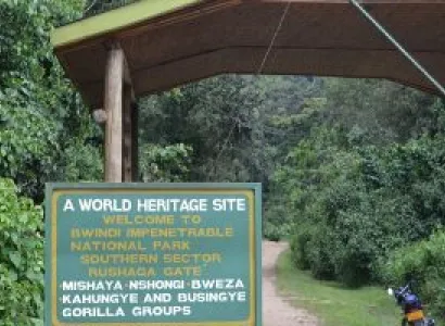 3-Day Gorilla Tracking In Uganda From Kigali