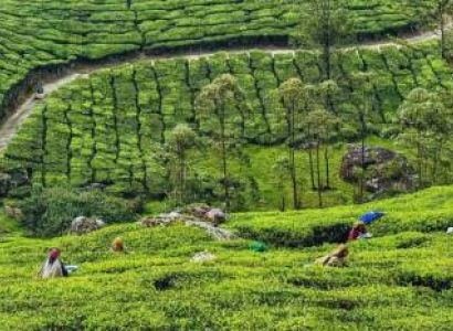 4 Night Kerala Tour Package