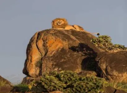 Ngorongoro Tour Packages